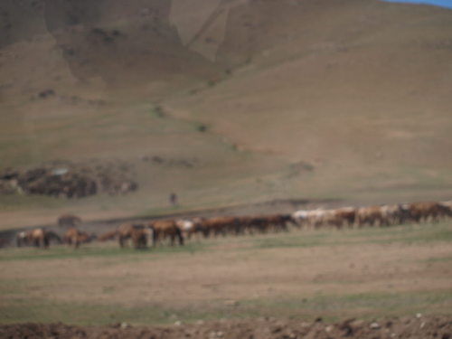 P6135206