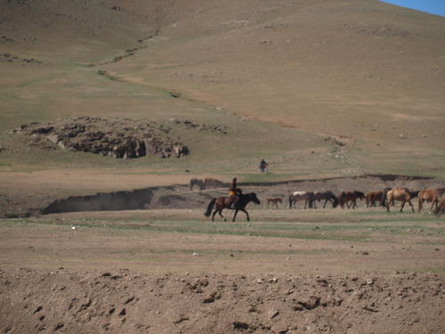 P6135209