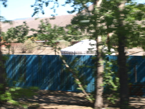P6135258