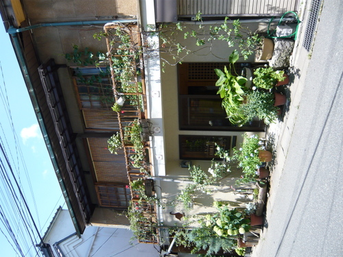 P1040924